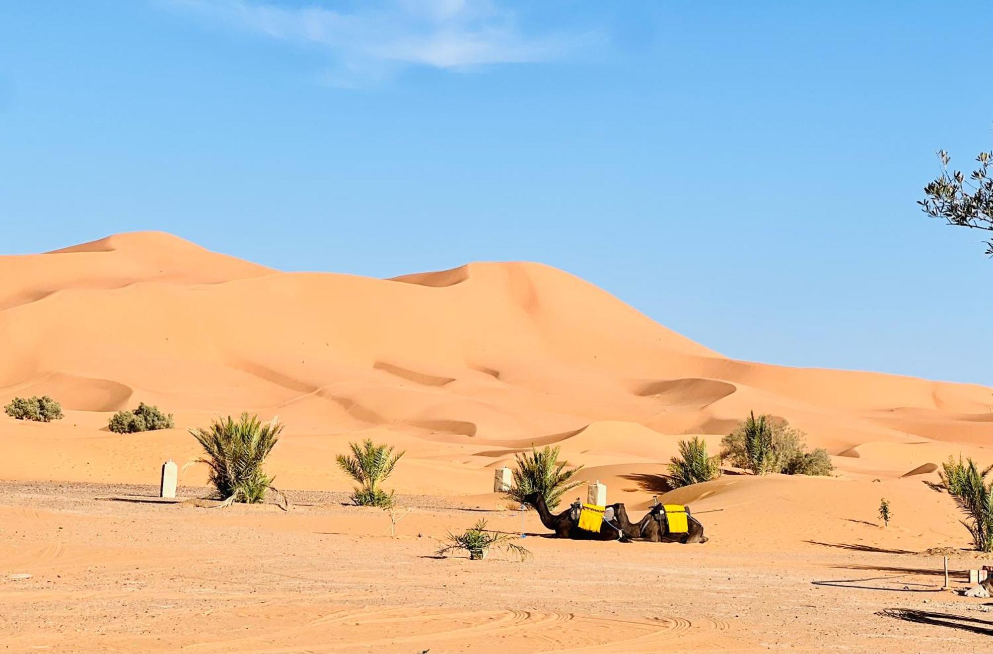 Hotel Camping Les Roses Des Dunes & Piscine Merzouga Bagian luar foto